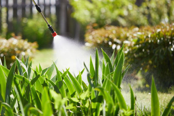 Tamper-Resistant Bait Stations for Rodents in Lawndale