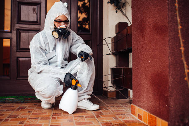 Attic and Crawl Space Rodent Treatment in Lawndale