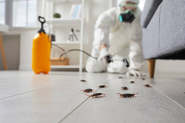 Commercial Rodent Management in Lawndale